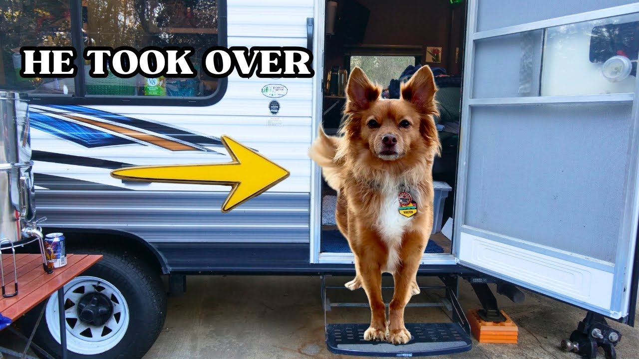 RV Life: Our Dog’s Dream Day-FLORIDA TRAIL HIKE & SOUTHERN CAMP MEAL