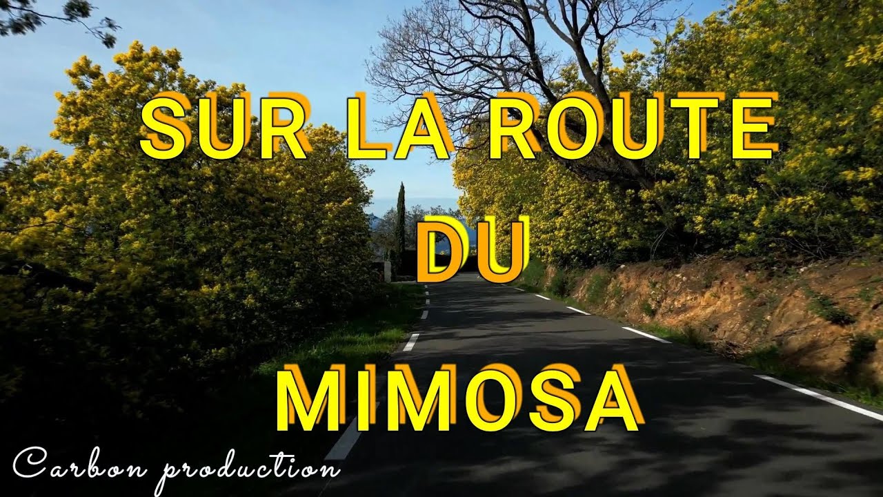 TRAILER ROUTE DU MIMOSA