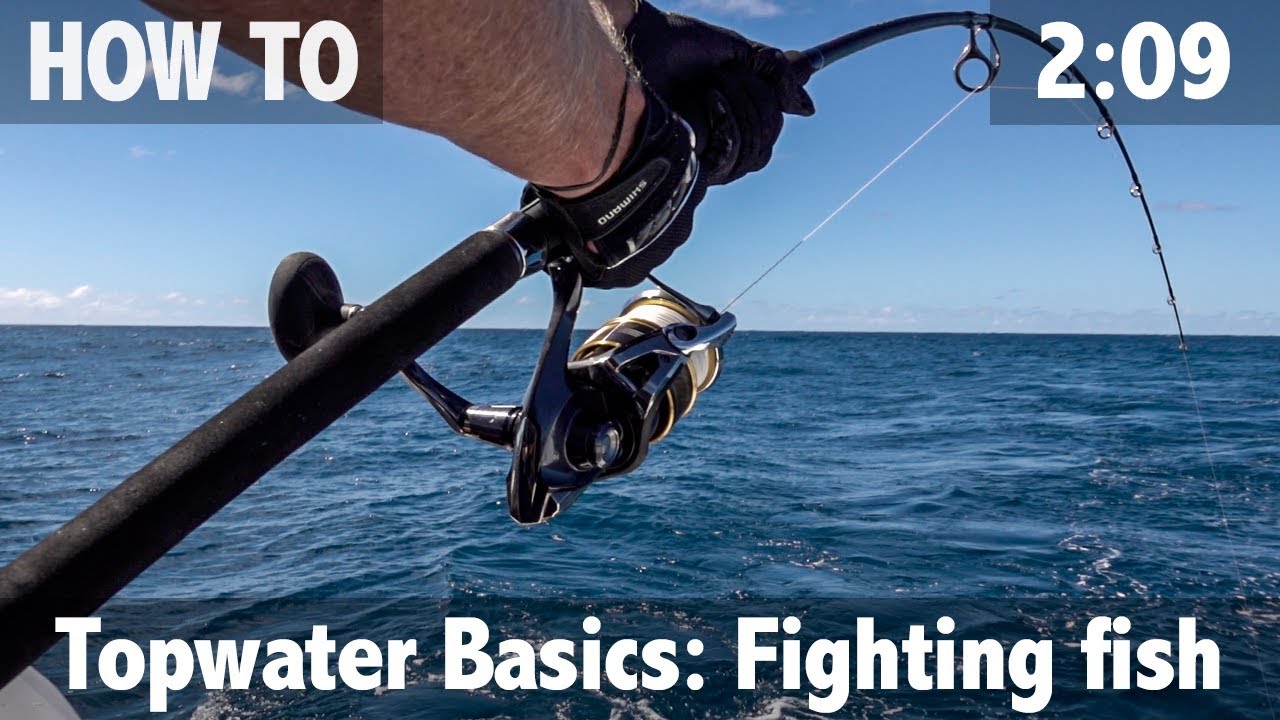 Topwater basics Fighting Fish