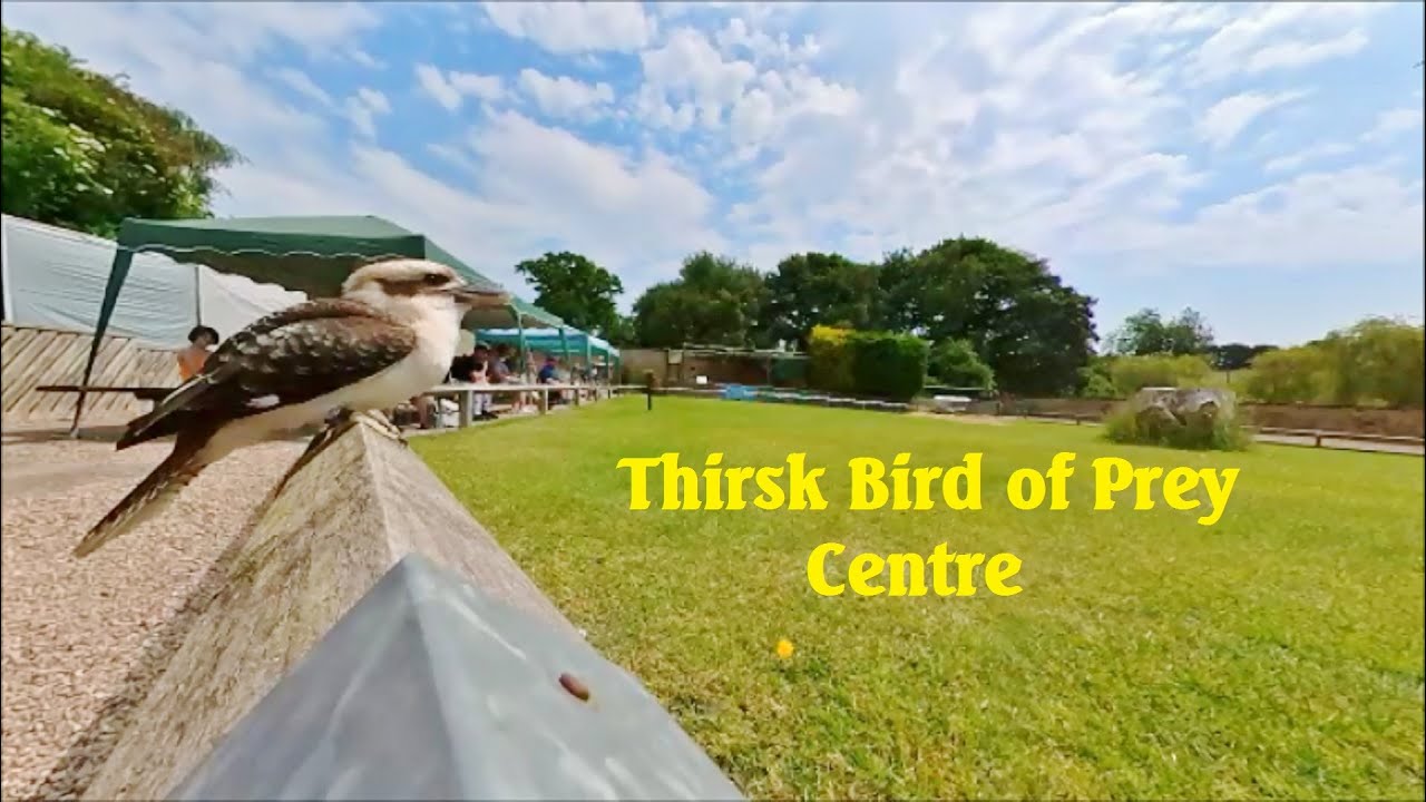 Thirsk Bird of Prey Centre