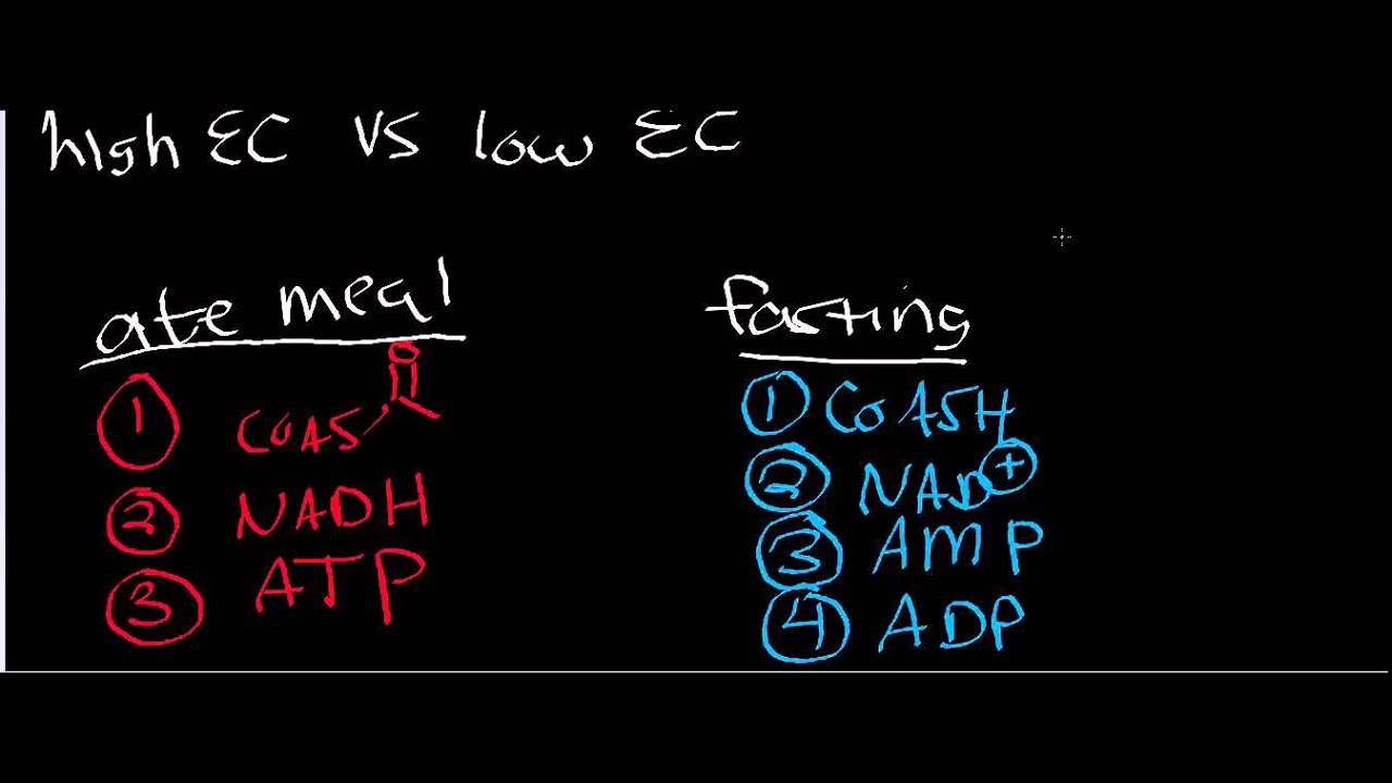 Biochemistry | Allostery High vs Low Energy Charge
