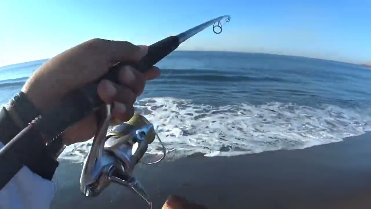 pesca en manzanillo, fishing en manzanillo 