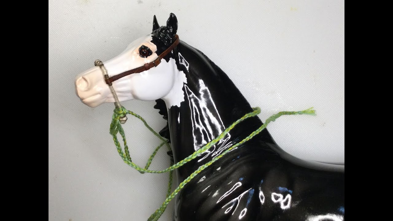 Bosal Bridle