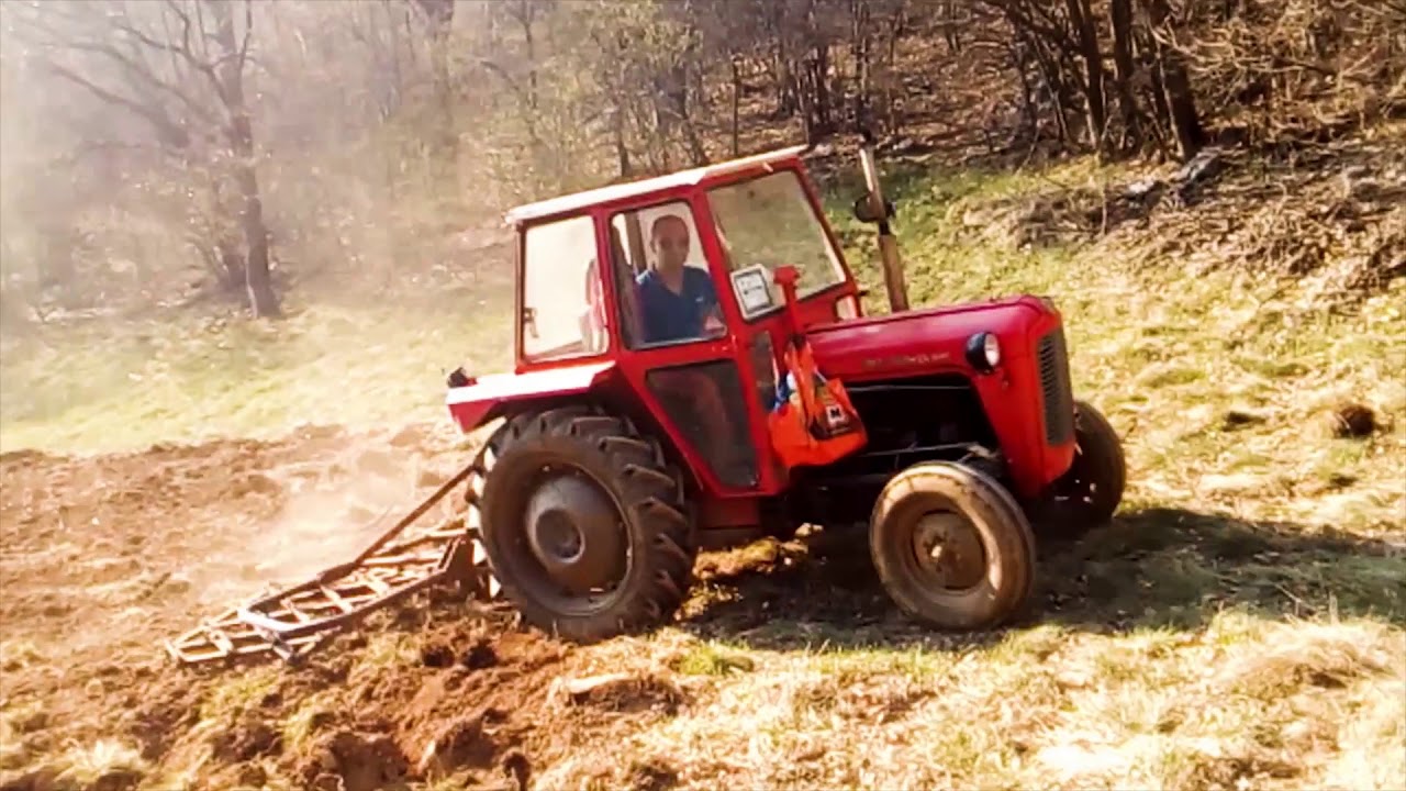 IMT 539 u njivi tesko Drljanje ! IMT 539 in Action !