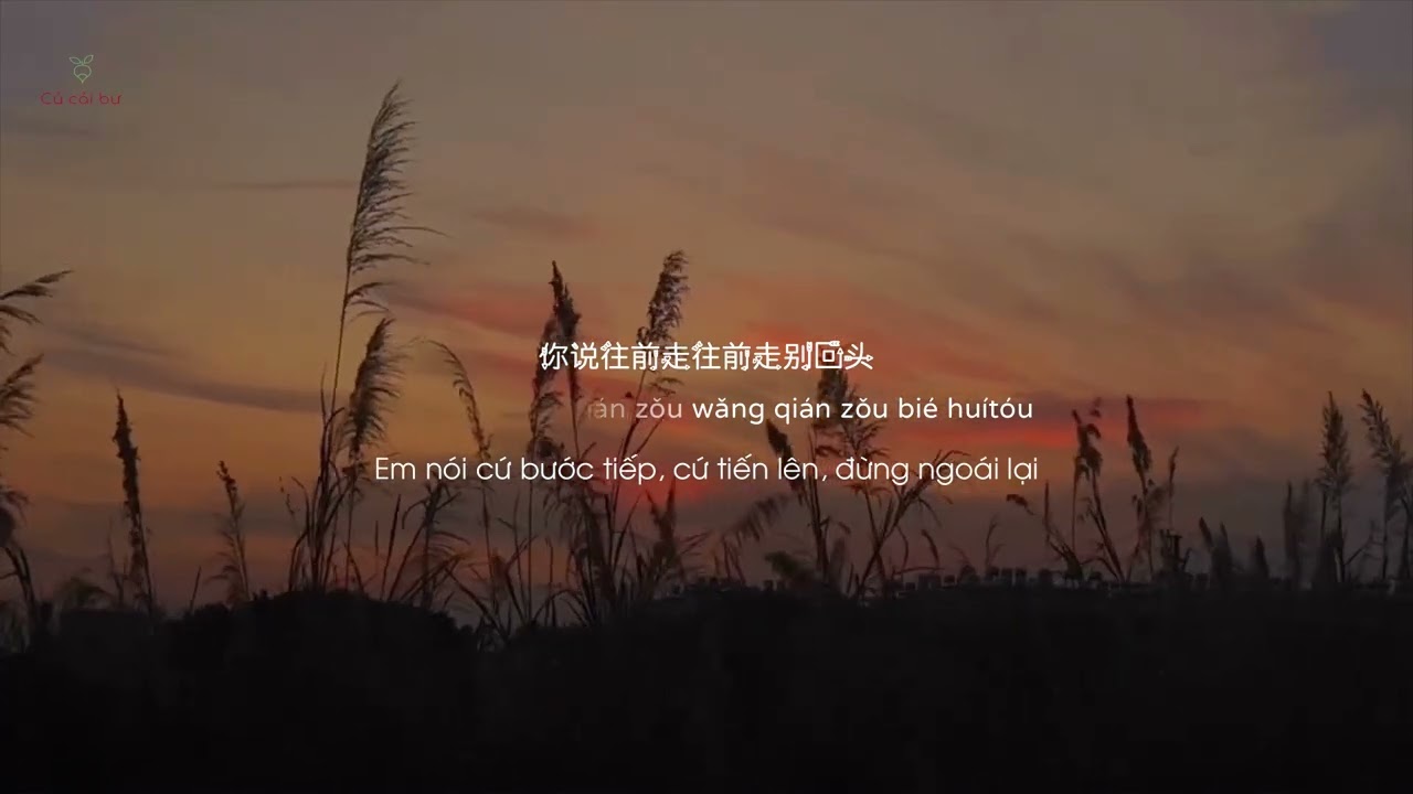 Quay Lưng Liền Đau Lòng - Ngôi Sao Vay Mượn || 转身即心痛 - 吉星出租