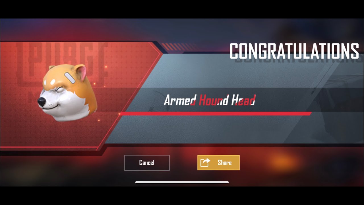 Armed Hound Set | Mr. Kitty Set | Crate Opening | Pubg Mobile | CRAkR