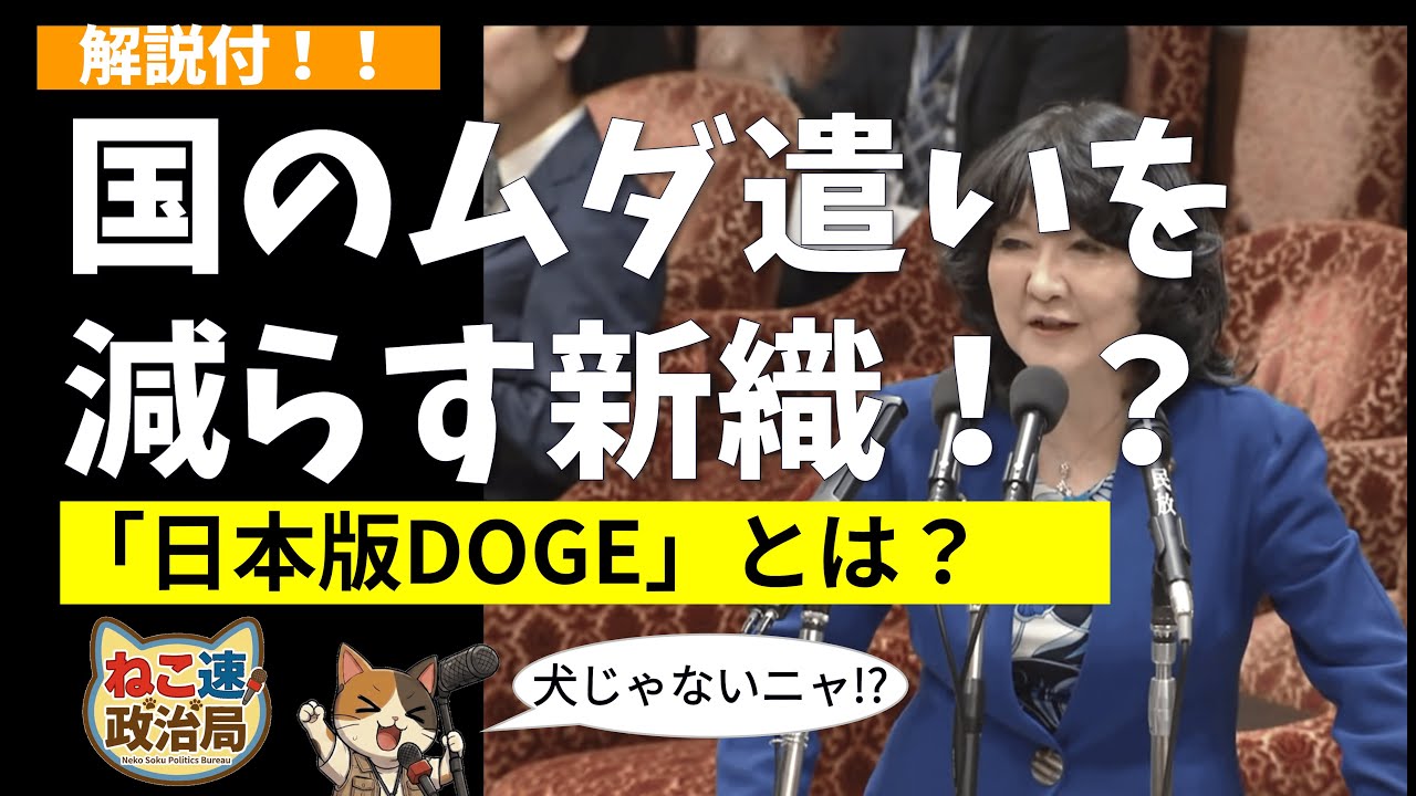 【ねこ速】 日本版DOGEは「骨抜き」か「現実解」か？アメリカ式「破壊」vs 日本流「チーム戦」！行財政改革の行方を完全解説【国会中継・DOGE】