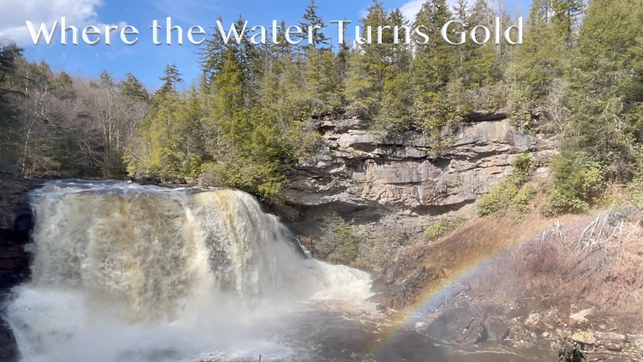Where the Water Turns Gold