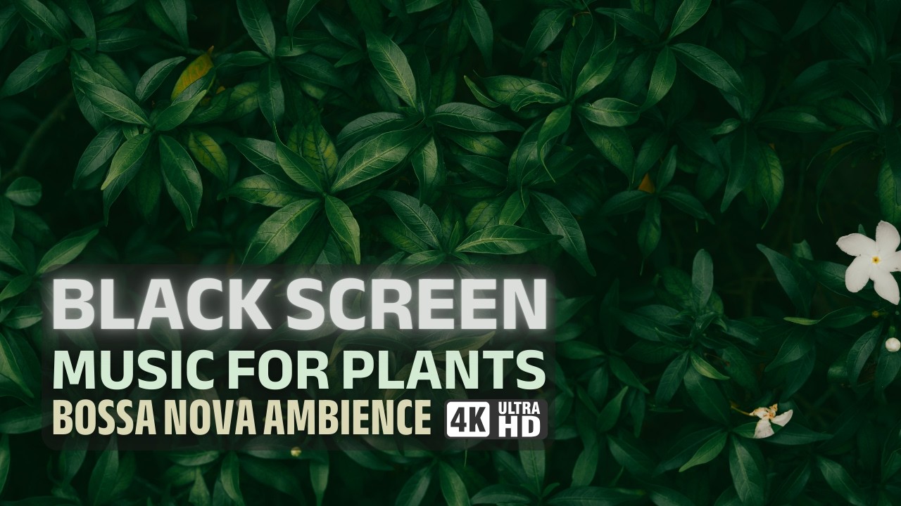 Music for Plants BLACK SCREEN 🌱 Bossa Nova edit