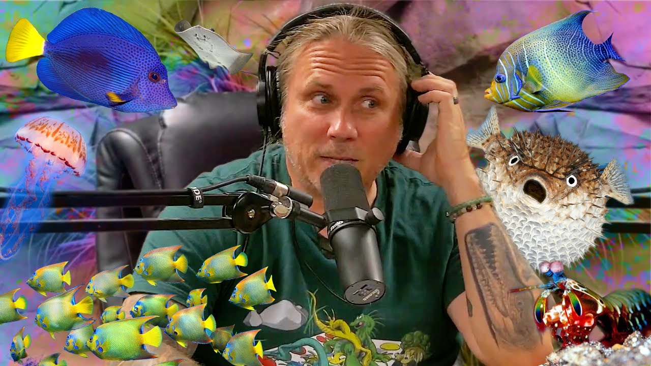 Brian's Dream Marine Fish for The Zoo Expansion!
