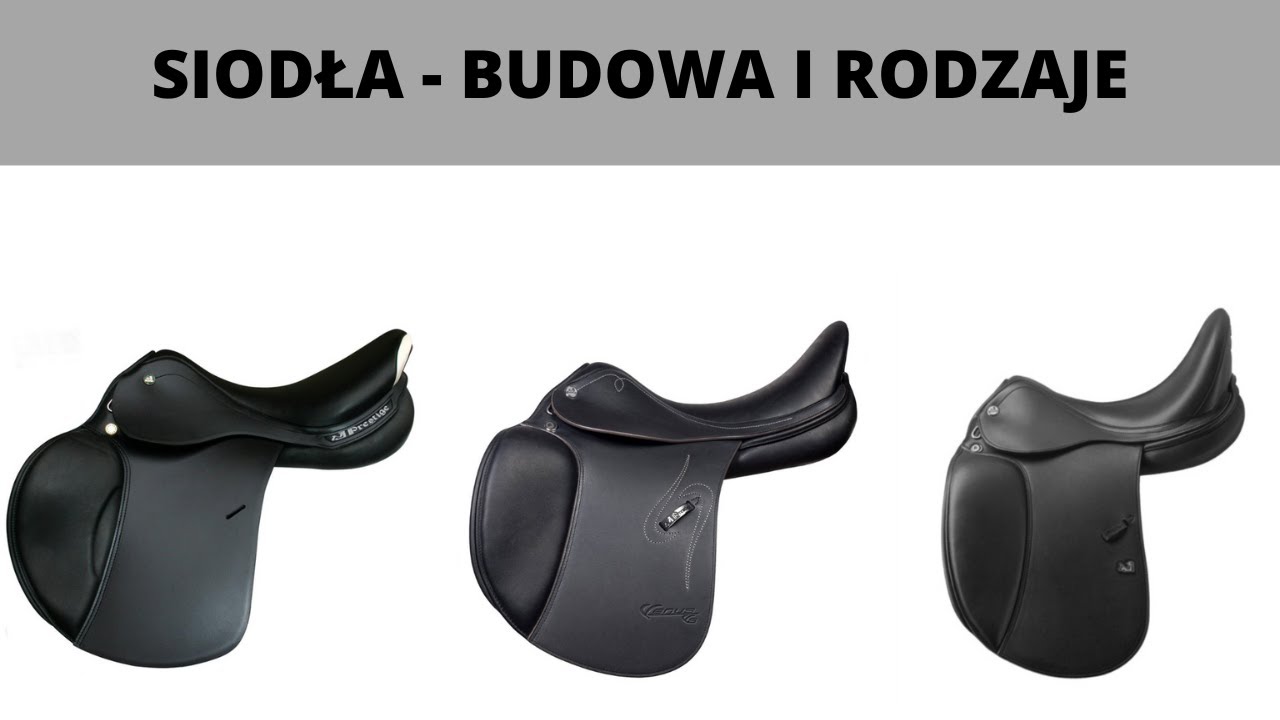 Budowa siodła. Jakie są rodzaje siodeł?