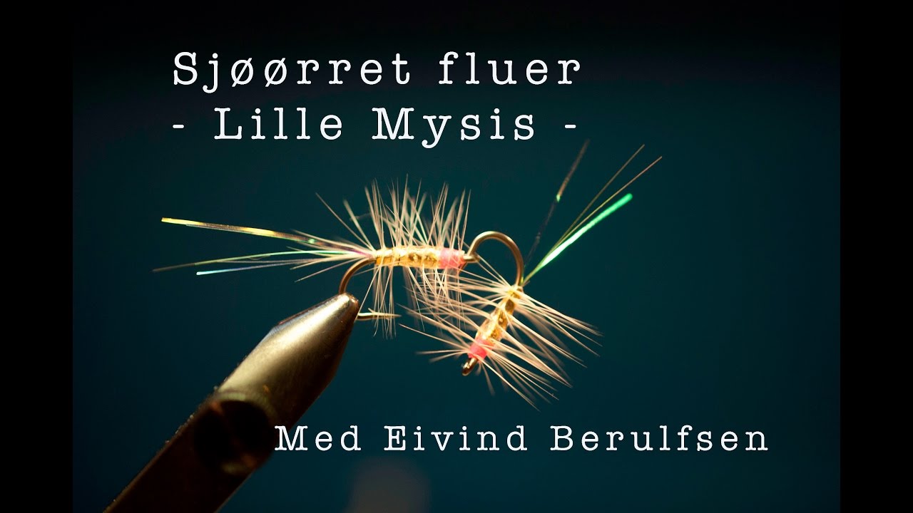 Sjøørret fluer - Lille Mysis. Med Eivind Berulfsen