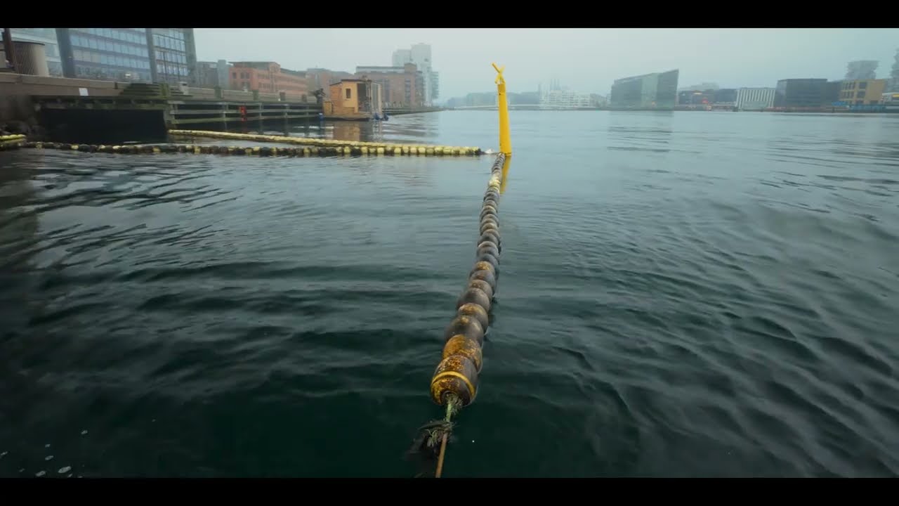 Hazy Harbor Direct H265