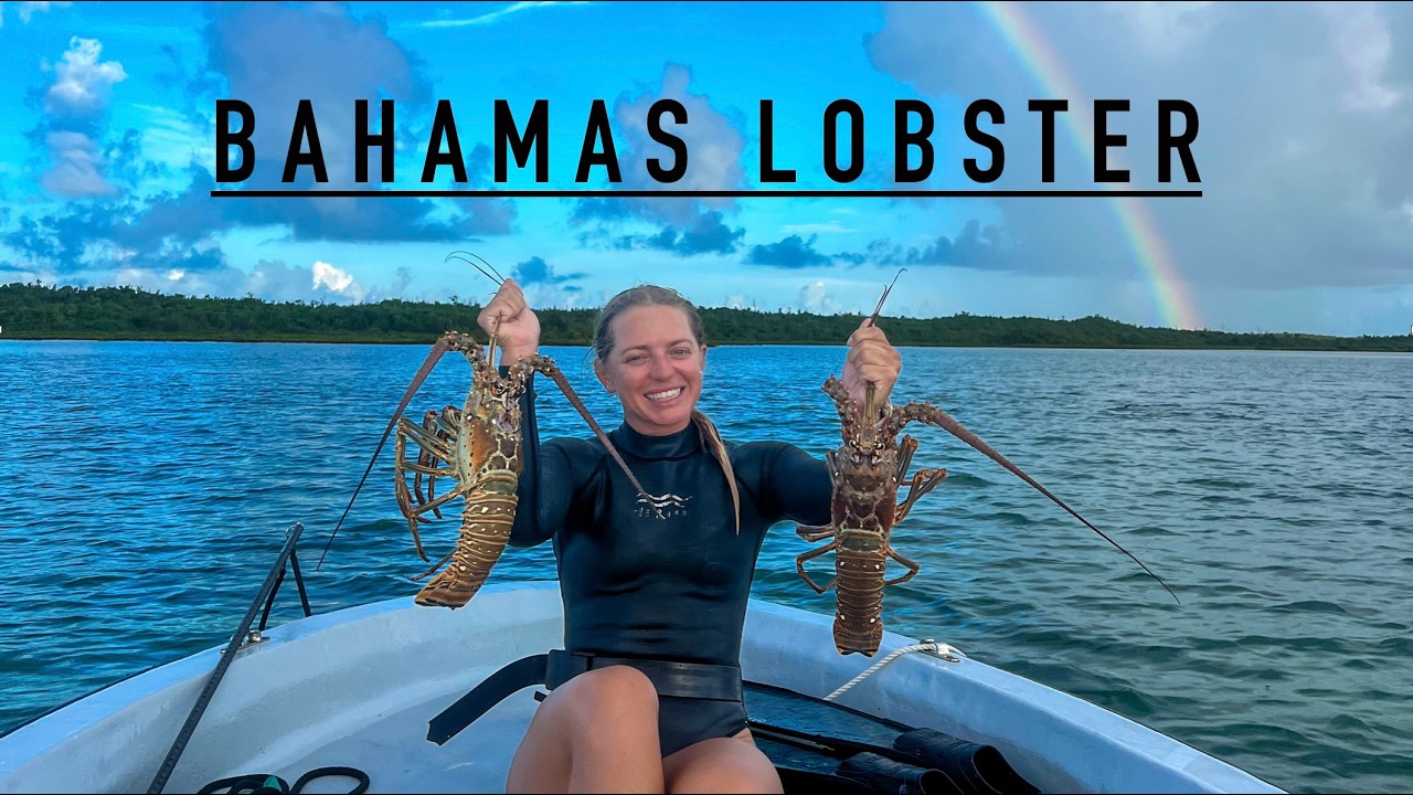 Catching Lobster in INCHES of Water - Abaco Bahamas