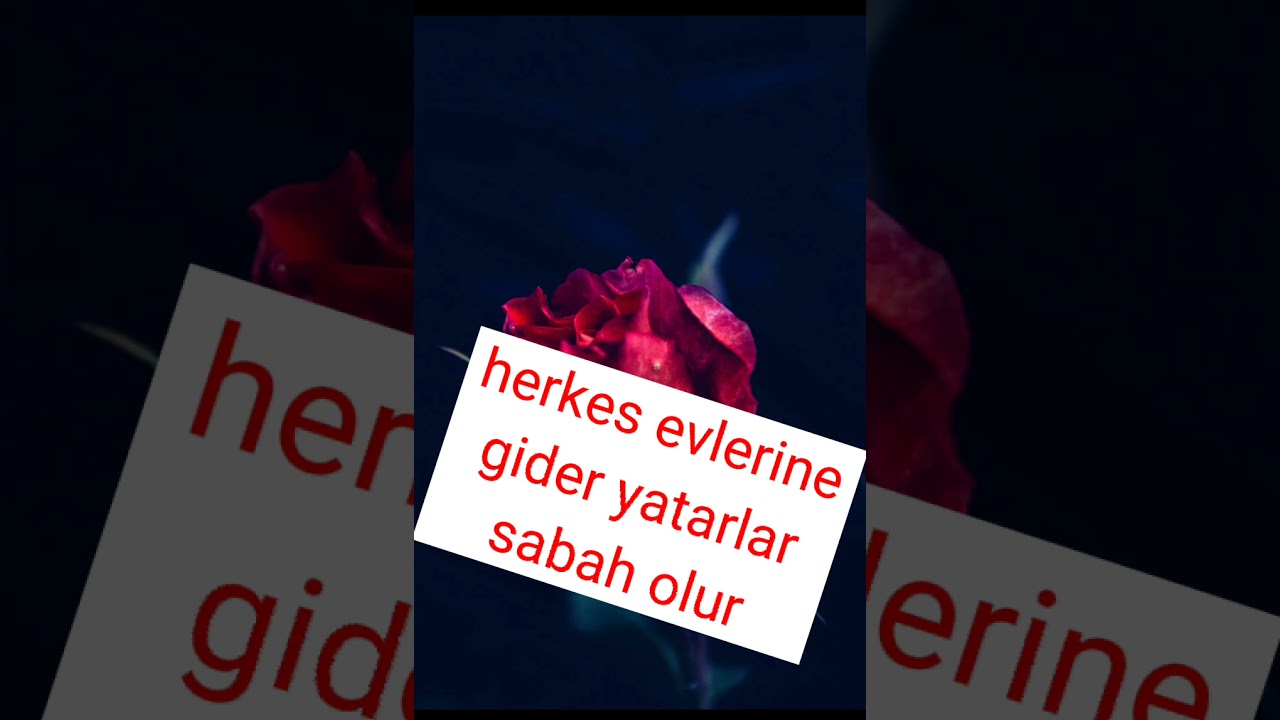 kalbimdeki kıpırtı 12.bölüm