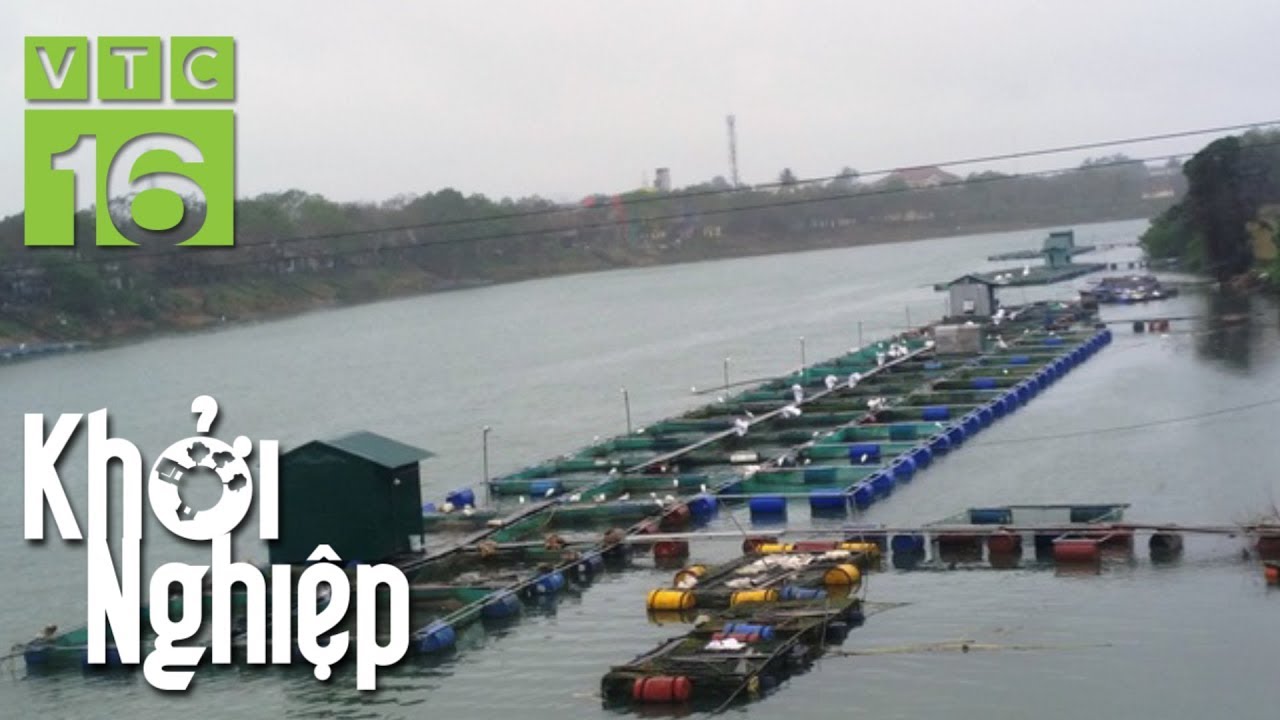 Thanh niên tự thiết kế lồng nuôi cá, chuyên gia ngỡ ngàng | VTC16