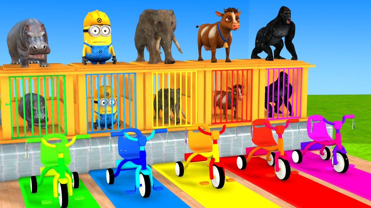 Long Slide Game With Cow Elephant Gorilla Hippopotamus Tiger 3d Animal Game Funny 3d Animals