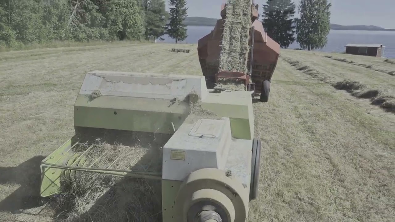 Höskörd 2025 - Pressar småbalar Claas Markant 51. Norden/Kuhns AF10 Accumulator