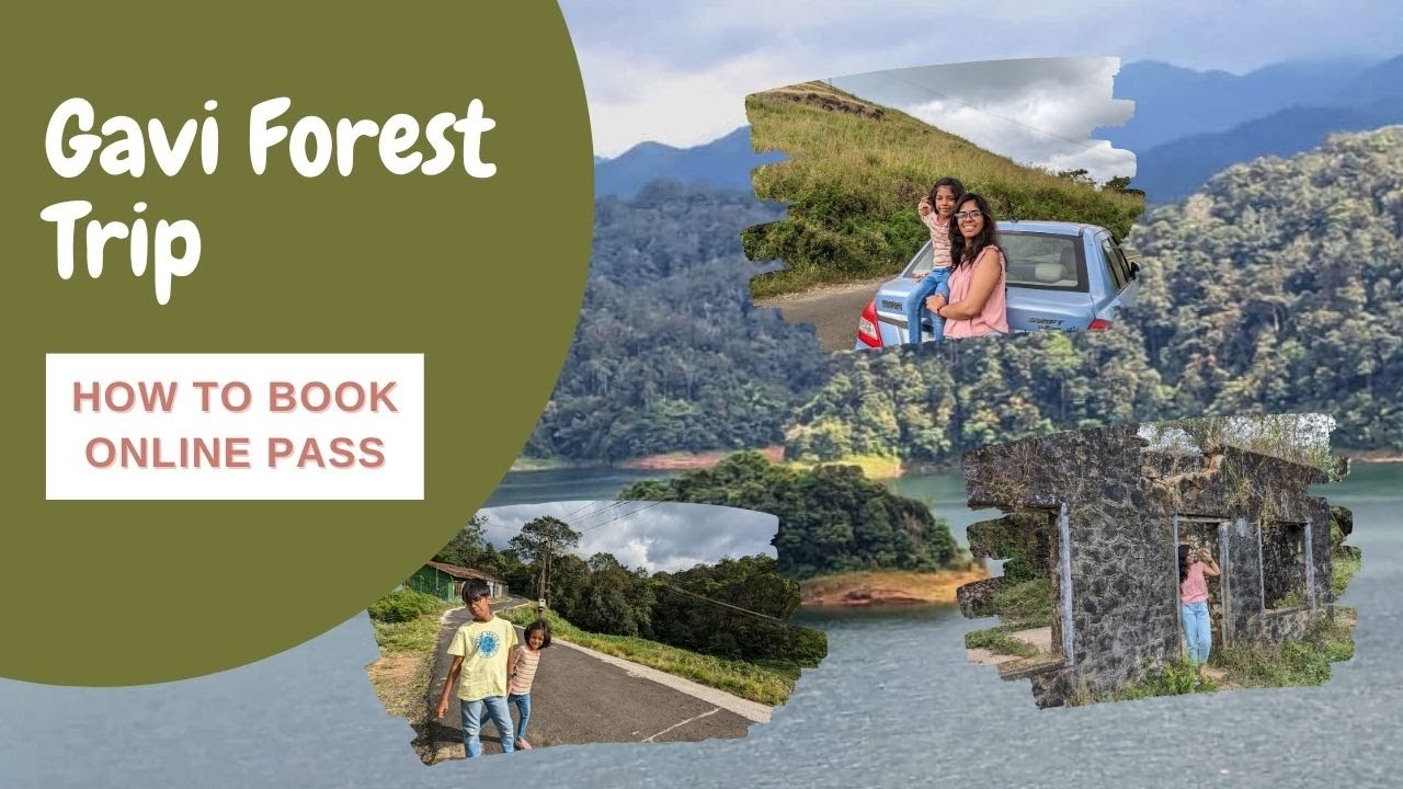 Gavi Trip | ഗവി online entry pass എടുക്കേണ്ടത് എങ്ങനെ| Gavi Forest Drive| Angamoozhy to Vallakkadavu