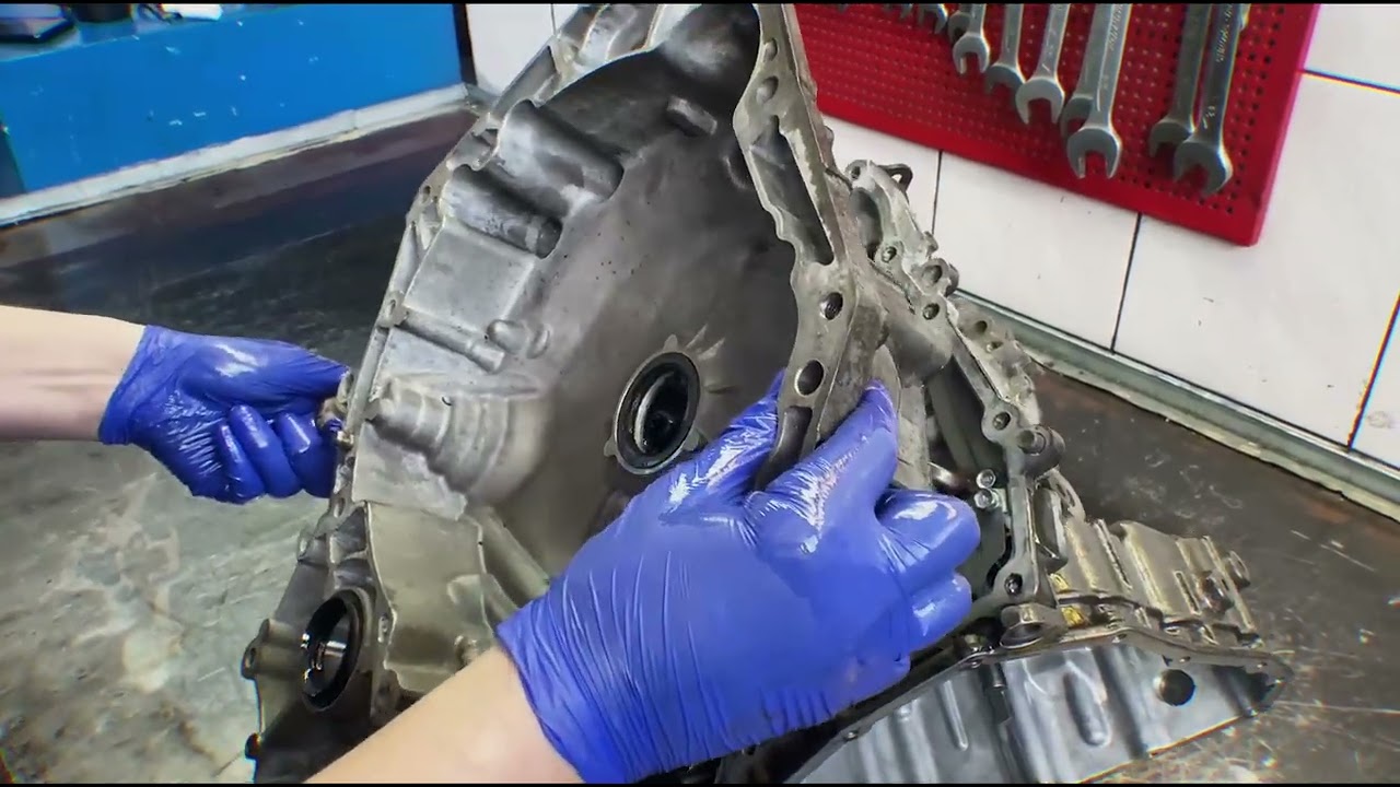 IMG 0277