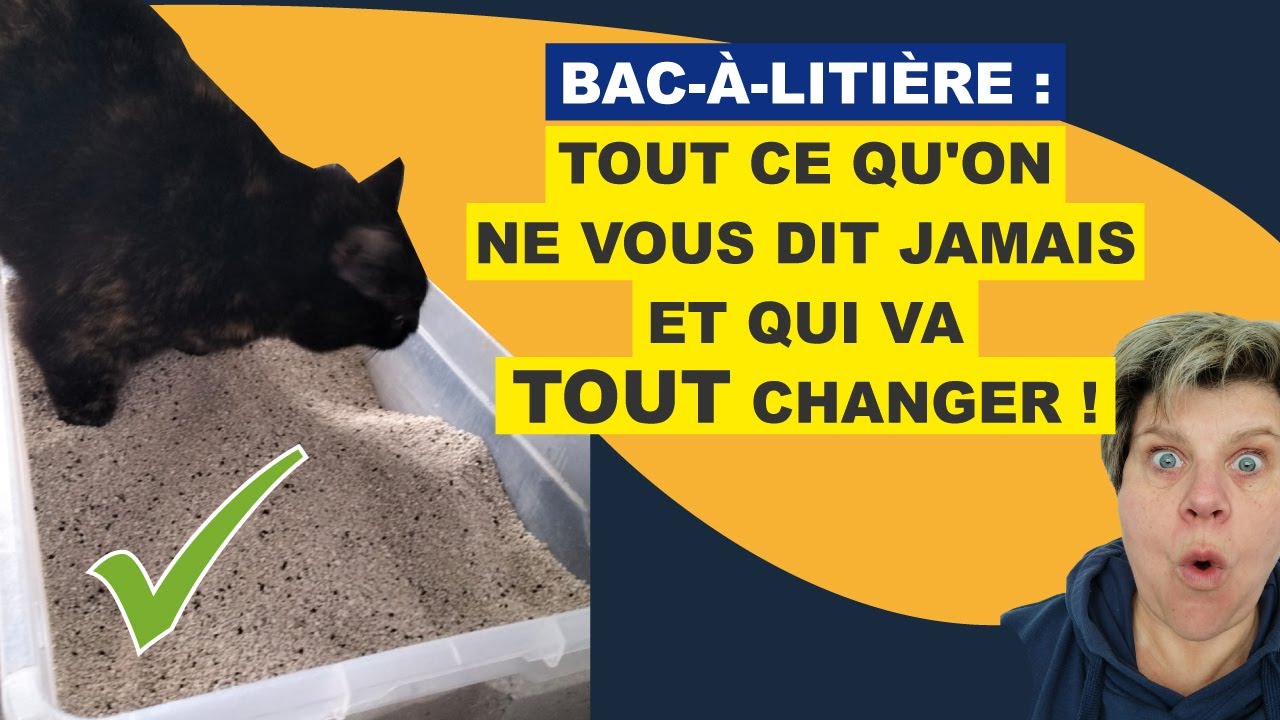 Les secrets pour 1 bac-à-litière parfait !