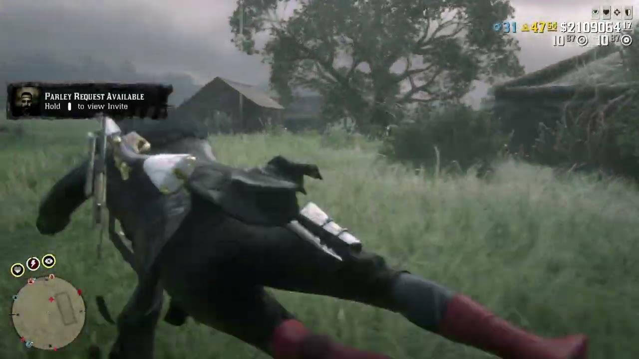 Red Dead Redemption 2_20260111170032