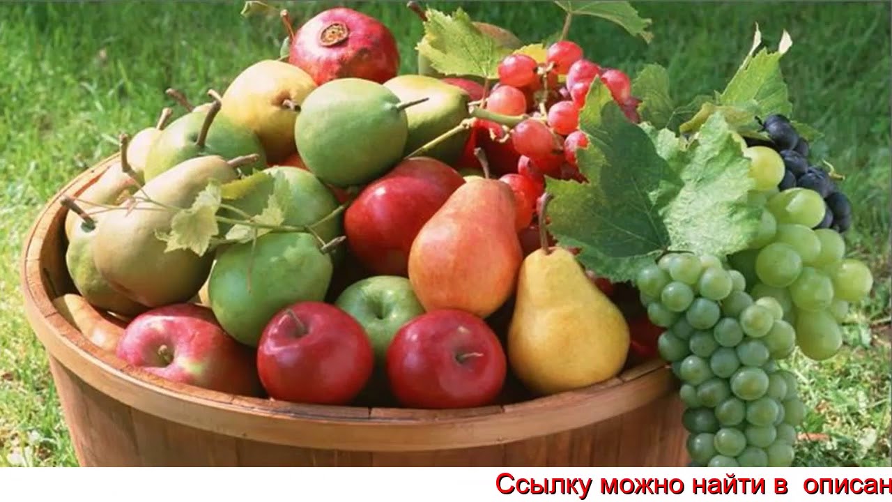 чем удобрять клубнику весной для лучшего урожая