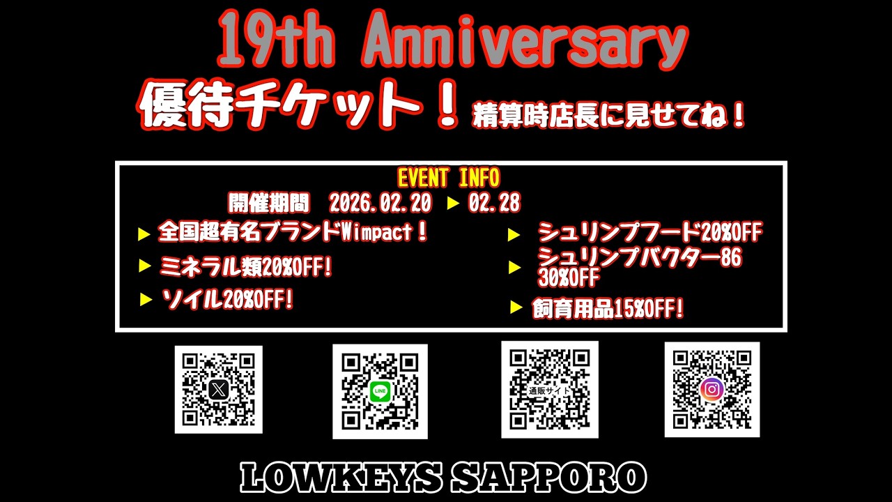【ローキーズ札幌19周年祭ピンクの部長の絵のの引越し】＃ピンクの部長＃ローキーズ札幌＃19周年祭