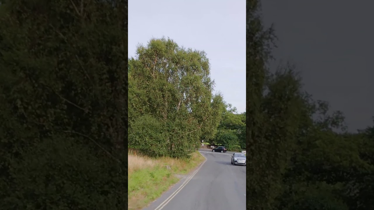 Lovely road 