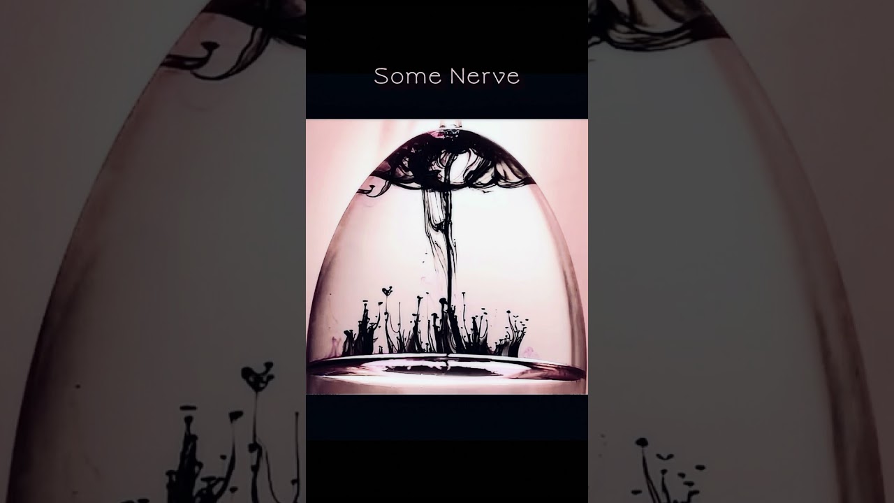 Some Nerve