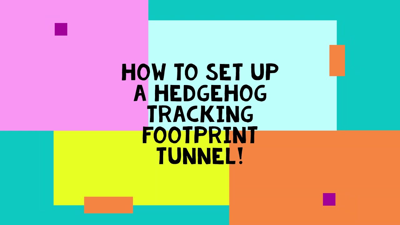 How to set up a hedgehog tracking footprint tunnel