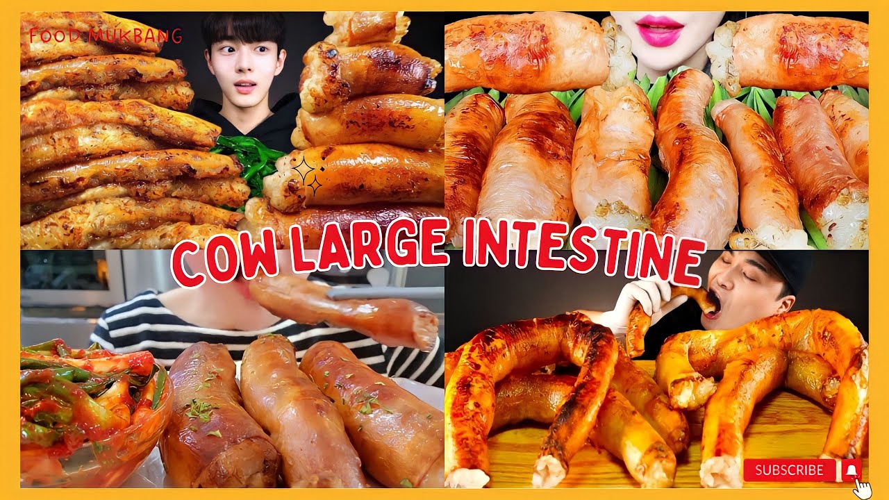 DAECHANG Cow Intestine Mukbang Compilation | Large Beef Intestine |  Mukbang ASMR Pt. 1