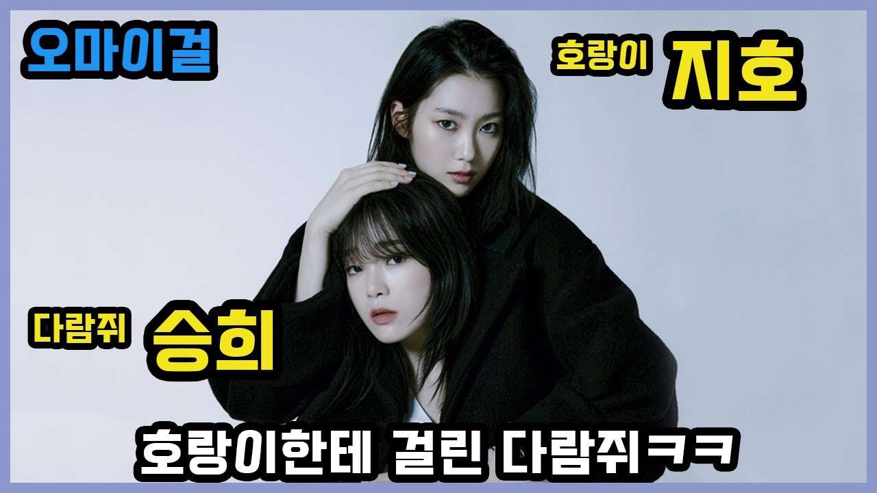 (오마이걸) 호랑이는 다람쥐를 잡아(?) 순간들 (승희&지호)