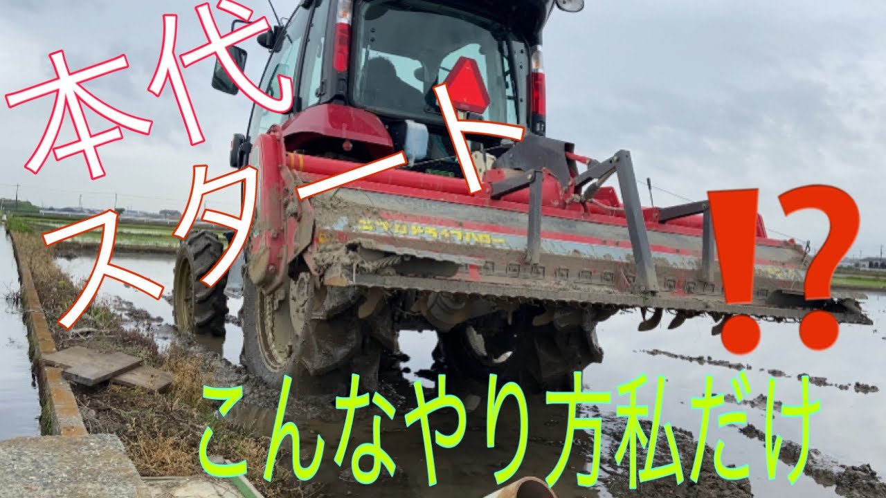 本日より本代掻き開始