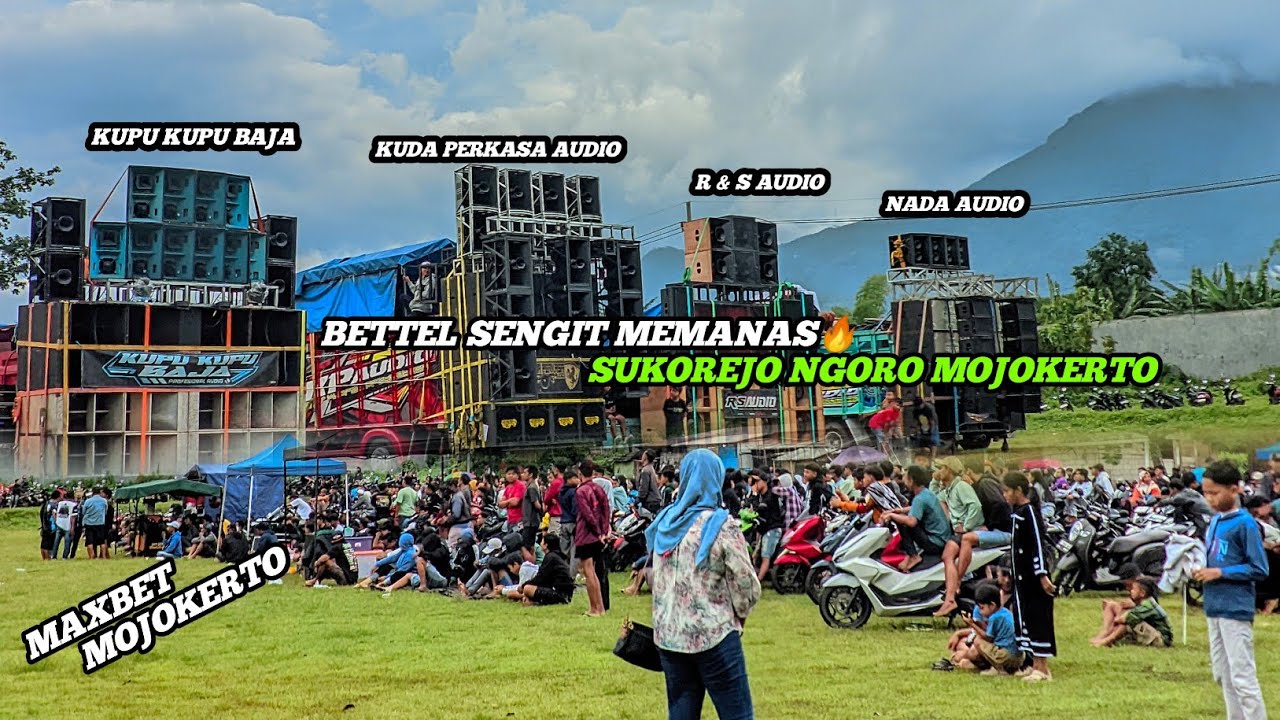 FULL BETTEL SENGIT ❗❗ Sukorejo Ngoro Mojokerto || MAXBET Mojokerto 🔥🔥