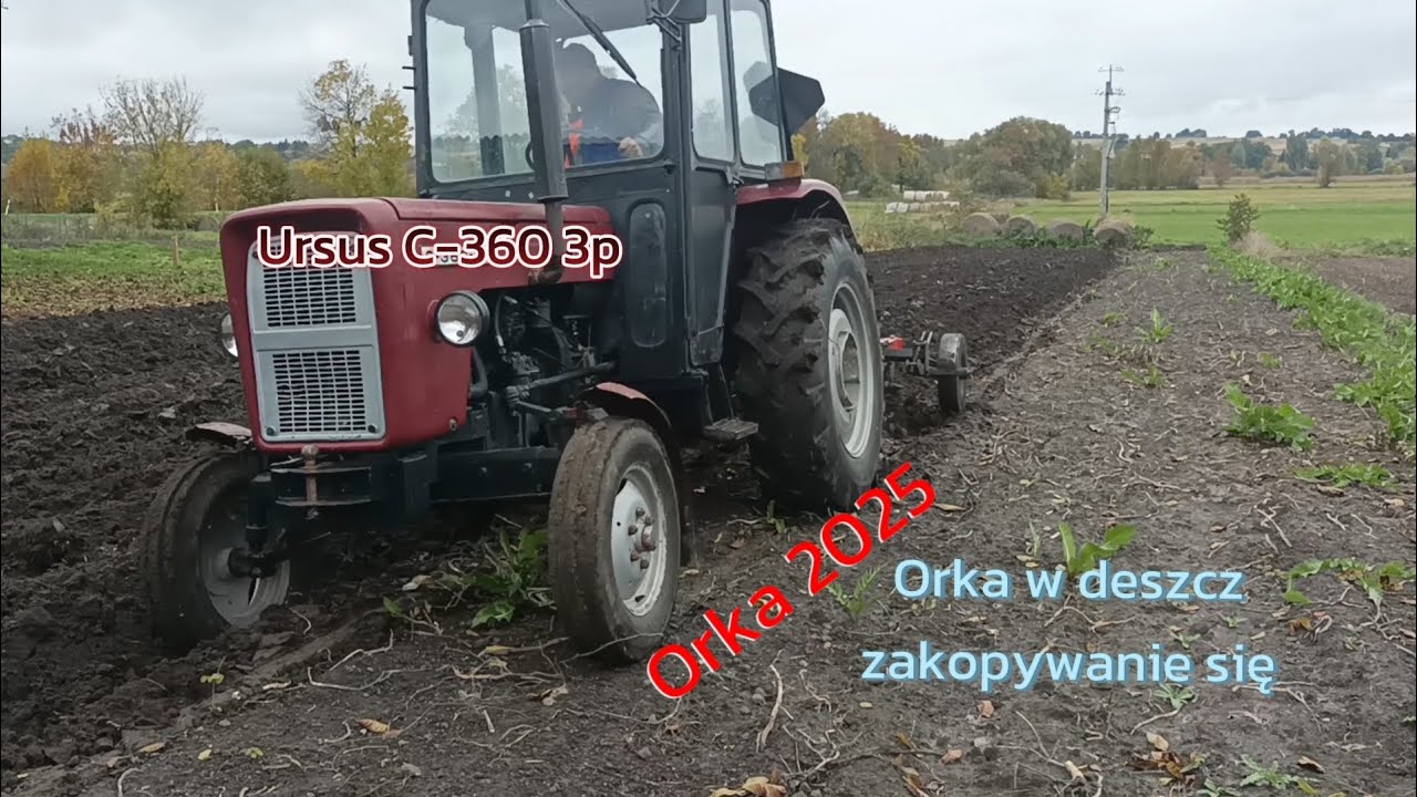 Ursus C-360 3p & Orka w Deszczu Zakopywanie się