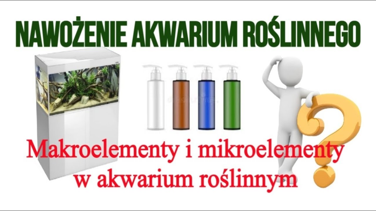 Łatwa Metoda Nawożenia Akwarium Roślinnego | Proste i Łatwe Podejście do Roślin Akwariowych