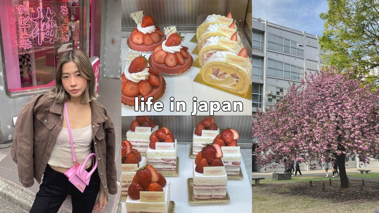 LIVING IN JAPAN 🍰 best strawberry shortcakes, japanese desserts, night out in shinjuku!