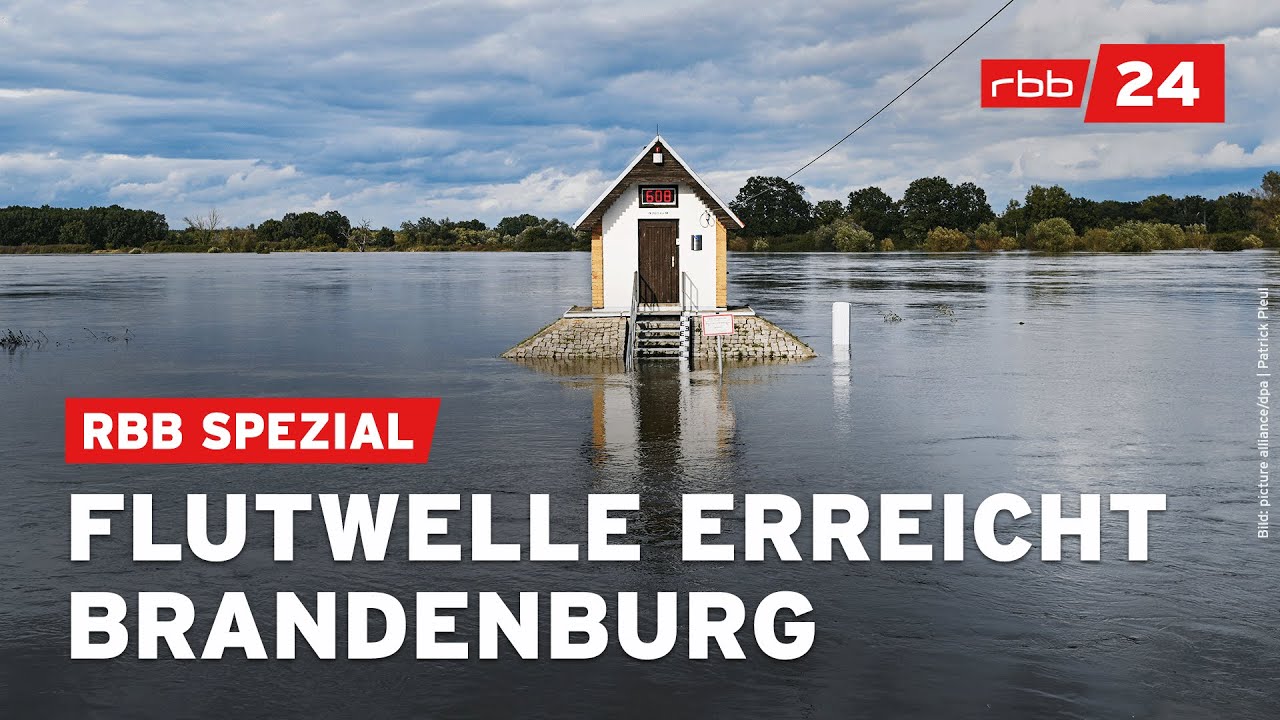 Über 6 Meter: Oder erreicht Flut-Höhepunkt – Alarmstufe 4