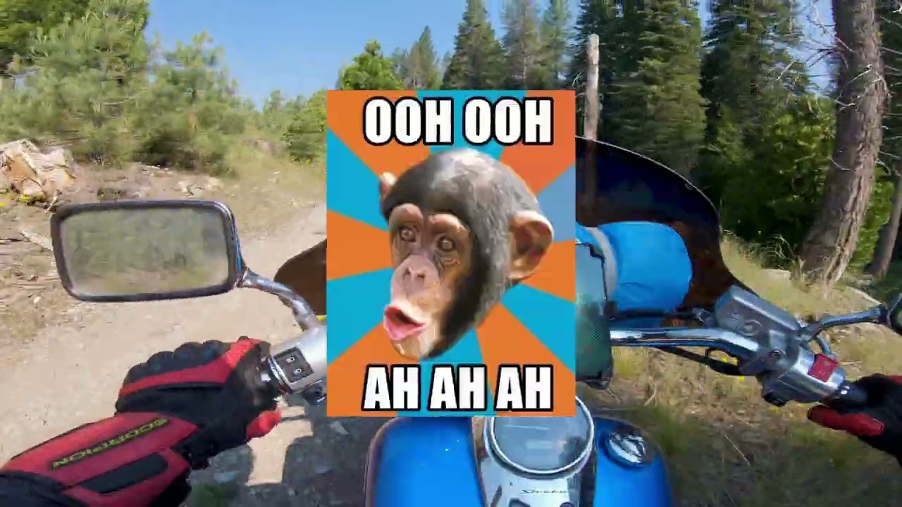 Riding a Cruiser Motorcycle OFF ROAD | Honda Shadow Spirit 750