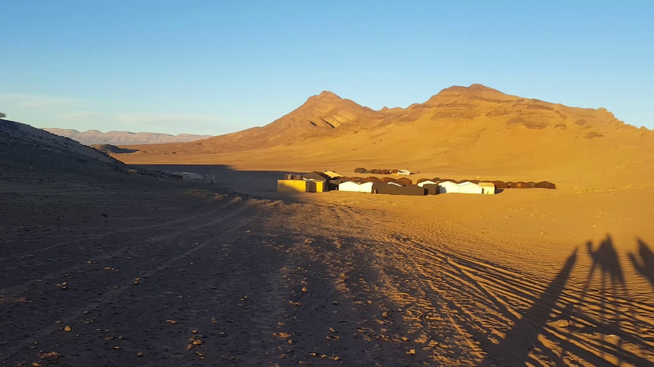Morocco Zagora desert camp arrival by camel