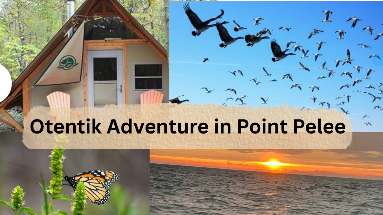 Senior’s Camping Adventure in Point Pelee: Get into the Great Outdoors