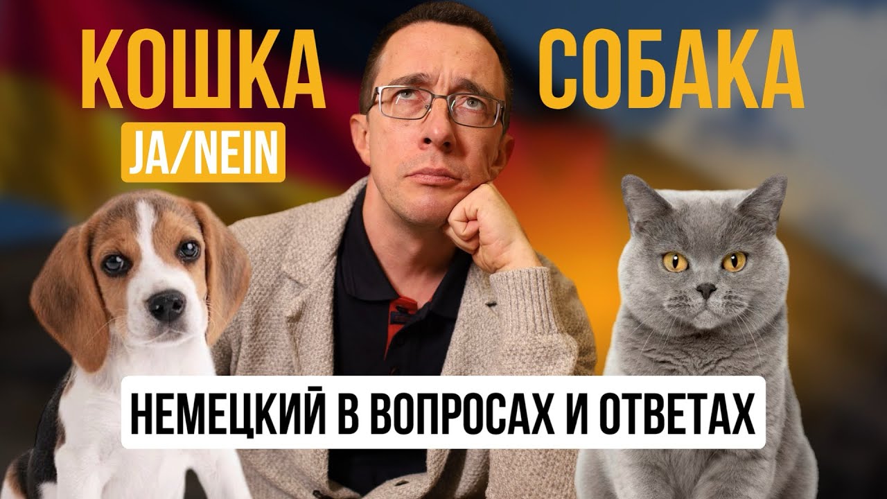Учи немецкий за 5 минут в день | Домашние животные | Уникальная методика изучения немецкого языка