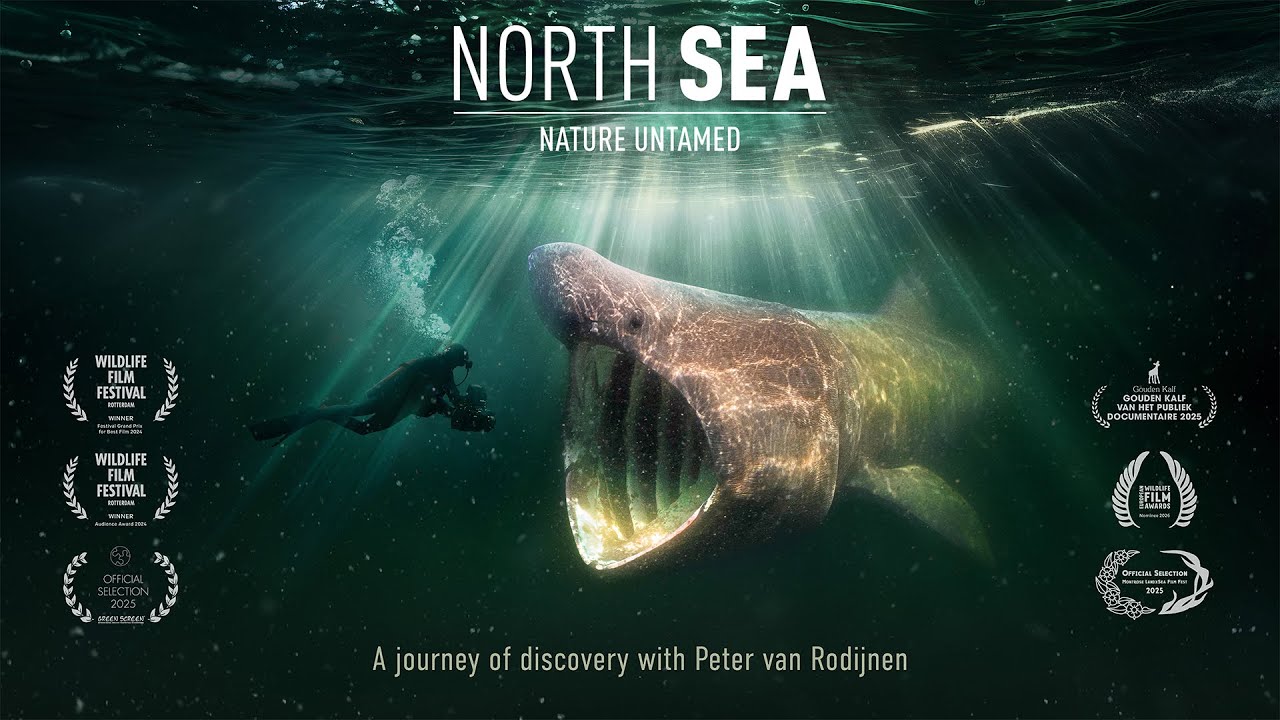 North Sea, Nature Untamed - Official Trailer
