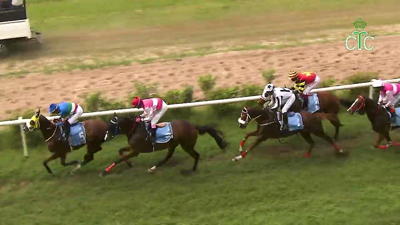 Скачки № 169, «Fly Like The Wind Handicap»