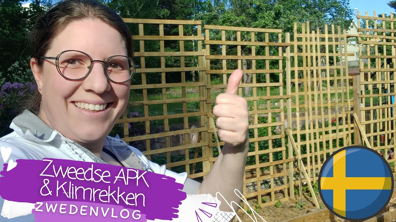 Zweedse APK & klimrekken | Auto keuring | Moestuin in Zweden | Zelfvoorzienend Leven