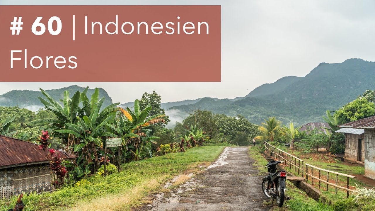 #60 | Indonesien | Scooter-Abenteuer im Dschungel von Flores