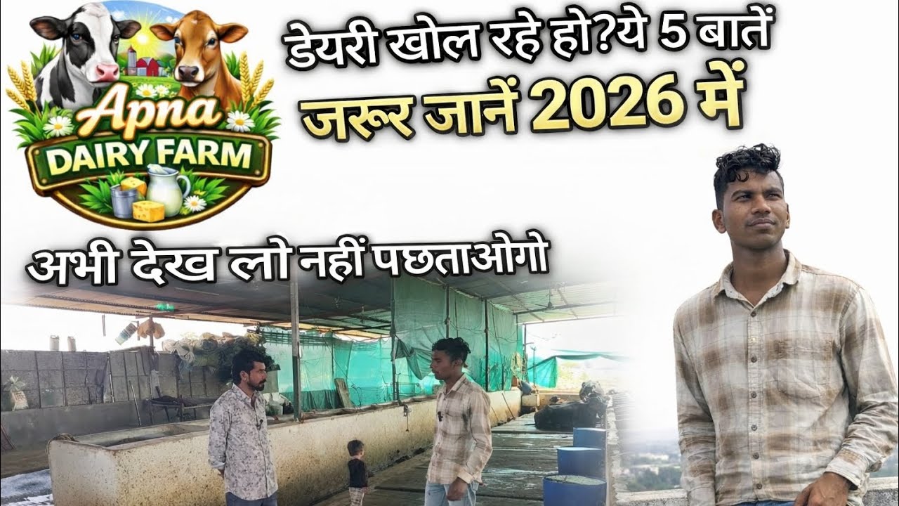 👉 डेयरी खोल रहे हो? 2026 में ये 5 बातें जरूर जान लो | Apna Dairy Farm