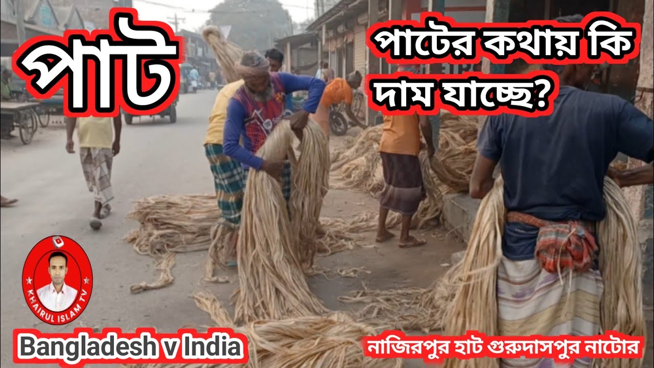 আজকের পাটের দাম ১২ মার্চ ২০২৬ |নাজিরপুর বাজার গুরুদাসপুর নাটোর | Today Jute Price Bangladesh