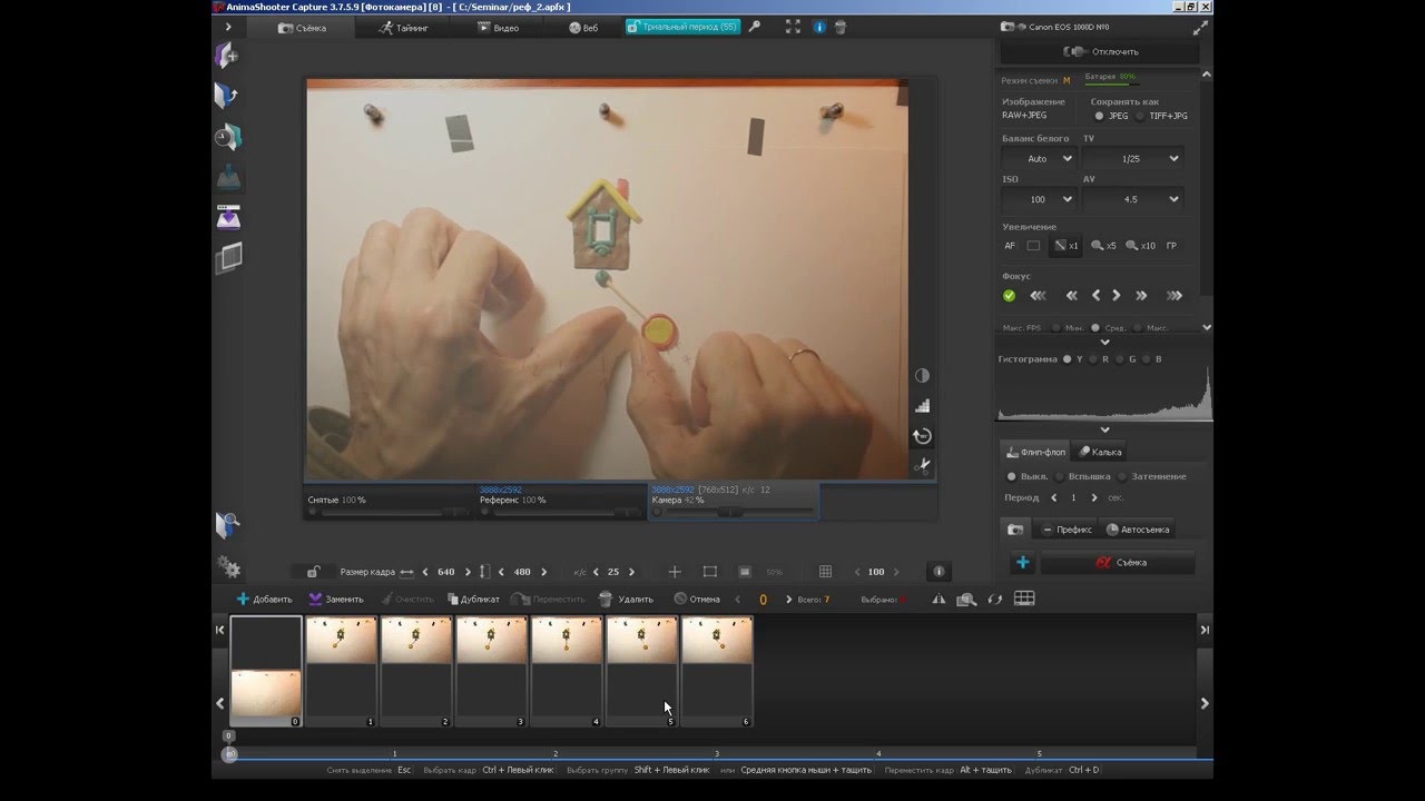 AnimaShooter. Съёмка с референсом.